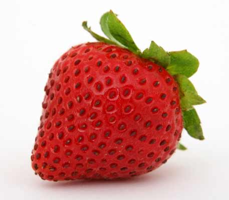 FRESA